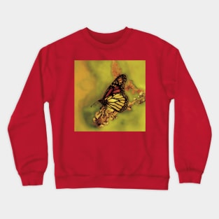 Butterfly Crewneck Sweatshirt